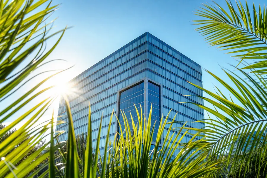 Glass office tower seen through palm fronds in South Florida